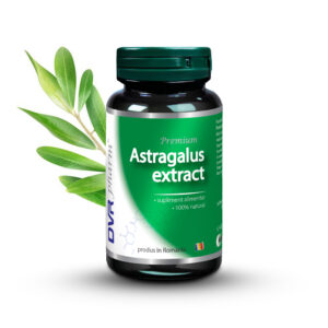Astragalus extract - 60 capsule