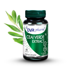 Green tea extract - 60 capsules