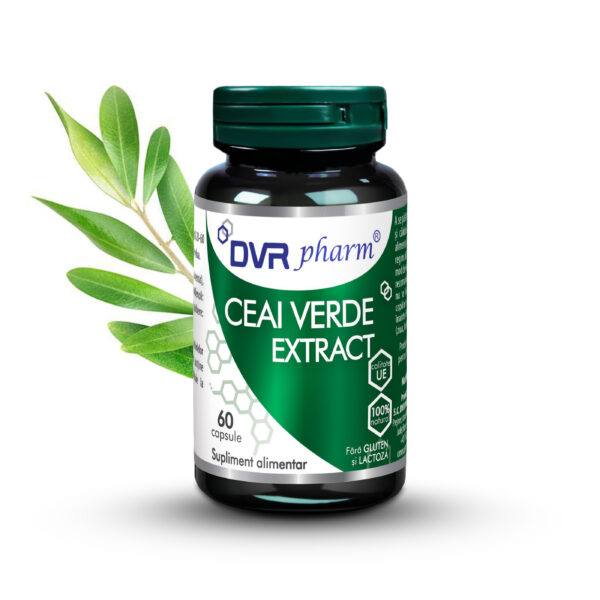 Green tea extract - 60 capsules