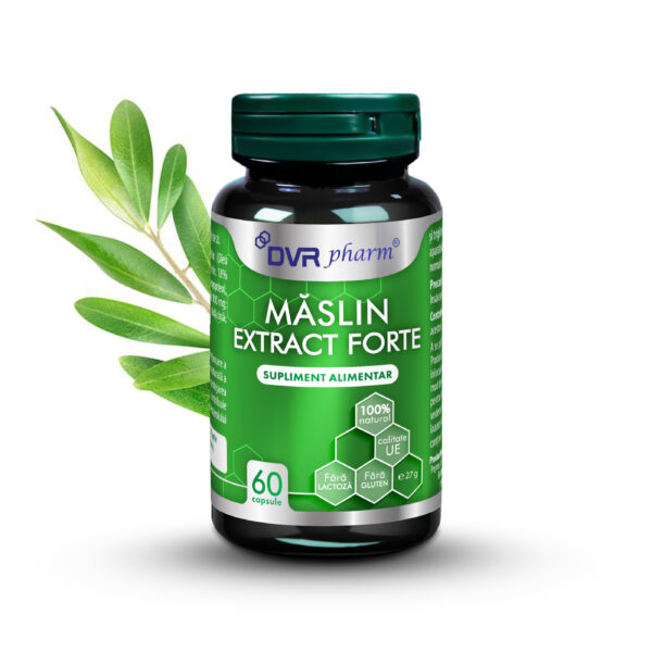 Olive extract forte - 60 capsules