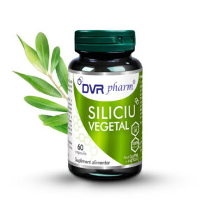 Siliciu vegetal facilitează refacerea oaselor și a tendoanelor