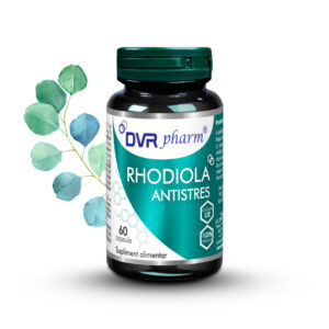 ANTISTRESS RHODIOLA - 60 capsules