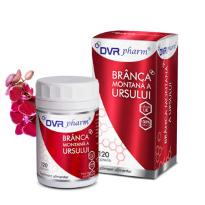 Brânca montană a ursului susține vitalitatea și funcția reproductivă