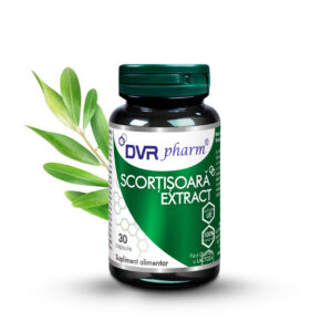 Cinnamon Extract 30 cps