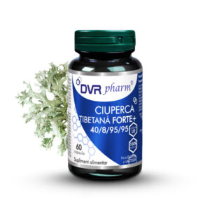 STRONG TIBETAN MUSHROOM + - 60 capsules