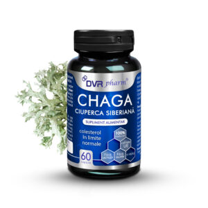 Chaga - Siberian mushroom - 60 capsules