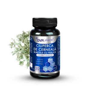 Ink Mushroom - Wig Sponge - 30 Capsules
