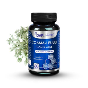 Lion's Mane - 60 capsules