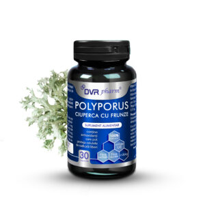 Polyporus - Leaf Mushroom - 30 capsules