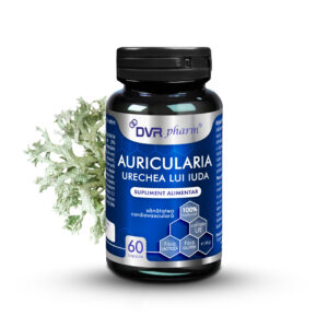 Auricularia - Judas' Ear - 60 capsules